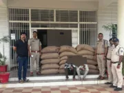 छिंदवाड़ा: पुलिस ने गेहूं चोरी का किया खुलासा, चार आरोपी गिरफ्तार, राशन का 42 बोरी गेहूं जब्त