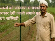 फसलों को जानवरों से बचाने सरकार देगी जाली लगाने पर 50% सब्सिडी, किसान करें ऑनलाइन आवेदन
