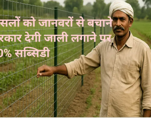फसलों को जानवरों से बचाने सरकार देगी जाली लगाने पर 50% सब्सिडी, किसान करें ऑनलाइन आवेदन