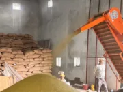 अमरवाड़ा:ग्रीष्मकालीन मूंग खरीदी का एक ही केंद्र किसान हो रहे परेशान