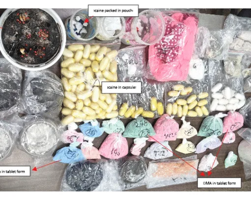 ऑपरेशन रेनबो : दिल्ली में DRI ने 40 करोड़ की 9 किलो कोकीन, हशीश और MDMA जप्त