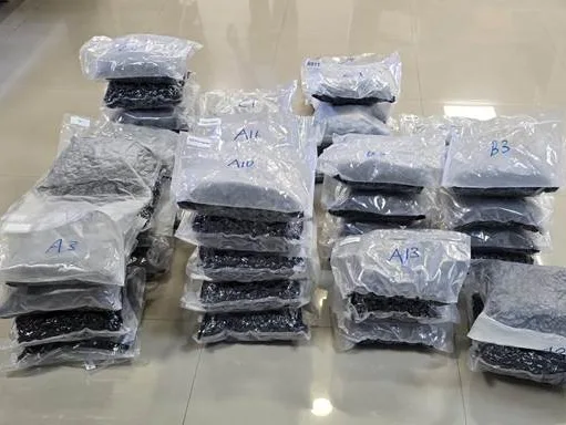 72 करोड़ रुपये मूल्य का 72 किलोग्राम हाइड्रोपोनिक मादक पदार्थ जब्त