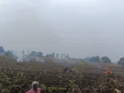 Chhindwara नरवाई जलाने वाले किसान पर FIR दर्ज