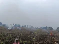 Chhindwara नरवाई जलाने वाले किसान पर FIR दर्ज