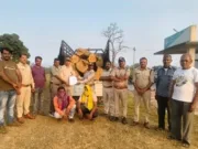 खवासा टोल प्लाजा पर वन विभाग की बड़ी कार्रवाई: सागौन की अवैध लकड़ी से भरा बोलेरो वाहन पकड़ा