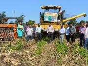 छिंदवाड़ा जिले को ‘नो-बर्न ज़ोन’ घोषित कॉर्न हैडर से मक्के की कटाई के तुरंत बाद सुपर सीडर से हुई गेहु की सीधी बुआई