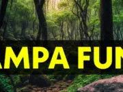 परासिया में 30 लाख का फर्जी भुगतान उजागर, वन अधिकारी सहित चार पर ईओडब्ल्यू का केस दर्ज