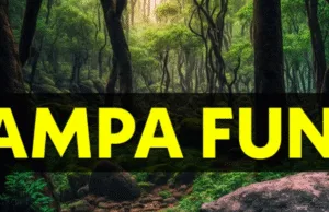 परासिया में 30 लाख का फर्जी भुगतान उजागर, वन अधिकारी सहित चार पर ईओडब्ल्यू का केस दर्ज