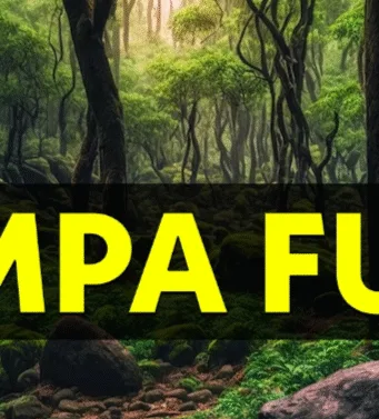 परासिया में 30 लाख का फर्जी भुगतान उजागर, वन अधिकारी सहित चार पर ईओडब्ल्यू का केस दर्ज