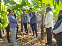 कलेक्टर ने देखी भुमका के किसान पूरनलाल इवनाती की प्राकृतिक खेती एक एकड़ से हो रहा 08 लाख का मुनाफा