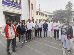 छिंदवाड़ा: चारगांव में शासकीय भूमि पर कंपनी का अवैध कब्जा, सैकड़ों पुराने पेड़ों की कटाई का आरोप, ग्रामीणों ने कलेक्टर से की शिकायत