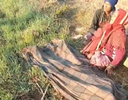 पेंच टाइगर रिजर्व बफर क्षेत्र में बाघ का हमला, किसान की मौत, गांव में दहशत