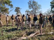 पेंच टाइगर रिजर्व में बाघ के हमले की आशंका, लापता व्यक्ति का क्षत-विक्षत शव बरामद