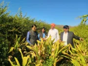 भुम्मा की जैविक हल्दी की गूंज ऑस्ट्रेलिया, पेरिस और जापान तक 1 एकड़ से किसान ने कमाए लाखों