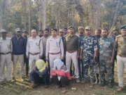 पेंच टाइगर रिजर्व में अवैध शिकार का खुलासा: करंट से मारे गए नर गौर के मामले में तीन आरोपी गिरफ्तार