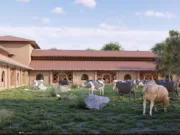 जामसांवली धाम में साकार होगा गौसेवा का भव्य संकल्प