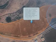 खाली जमीन में गिरदावरी में लगी चना की फसल(भाग2)