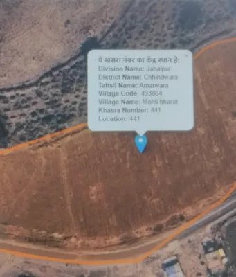 खाली जमीन में गिरदावरी में लगी चना की फसल(भाग2)