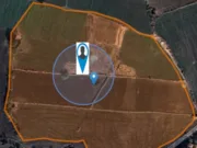 अमरवाड़ा में ‘फर्जी गिरदावरी’ का बड़ा खेल,मौके की स्थिति का मिलान चौंकाने वाले आंकड़े(भाग 3)