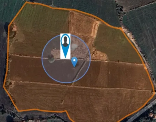 अमरवाड़ा में ‘फर्जी गिरदावरी’ का बड़ा खेल,मौके की स्थिति का मिलान चौंकाने वाले आंकड़े(भाग 3)