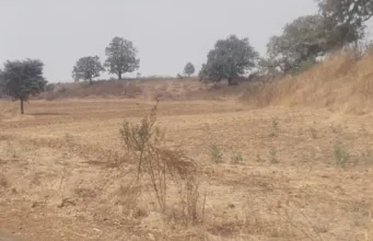 अमरवाड़ा में ‘फसल सिंडिकेट’ का खेल, कागजों में लहलहा रही फर्जी फसलें