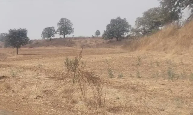 Screenshot_2026-03-02-16-23-09-26_6012fa4d4ddec268fc5c7112cbb265e7