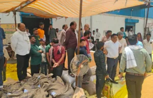 अपर कलेक्टर ने किया उपार्जन केंद्रों का निरीक्षण ,दो समितियों को कारण बताओ नोटिस