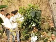 पेंच टाइगर रिजर्व बफर क्षेत्र में बाघ का हमला, थोटा गुमतरा के युवक की मौत