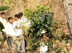 पेंच टाइगर रिजर्व बफर क्षेत्र में बाघ का हमला, थोटा गुमतरा के युवक की मौत