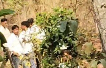 पेंच टाइगर रिजर्व बफर क्षेत्र में बाघ का हमला, थोटा गुमतरा के युवक की मौत