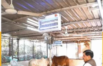 MP में स्वावलंबी गौशालाओं की स्थापना नीति-2025 लागू