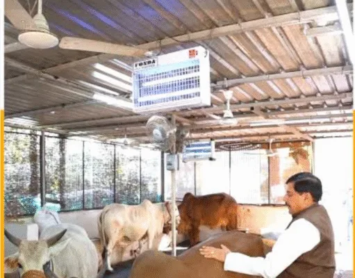 MP में स्वावलंबी गौशालाओं की स्थापना नीति-2025 लागू