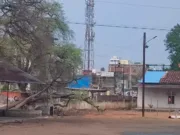 छिंदवाड़ा में तेज आंधी-तूफान: दर्जनों पेड़ गिरे, बिजली गुल, गर्मी से मिली राहत, एक घायल