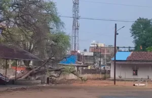 छिंदवाड़ा में तेज आंधी-तूफान: दर्जनों पेड़ गिरे, बिजली गुल, गर्मी से मिली राहत, एक घायल