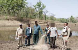 पेंच टाइगर रिजर्व के कोर एरिया में अवैध घुसपैठ, मछली शिकार करते एक आरोपी गिरफ्तार