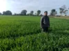 मिट्टी में जड़ें, विज्ञान से उड़ान : टीकमगढ़ के एक किसान ने बिना जुताई के उगाया सोना…