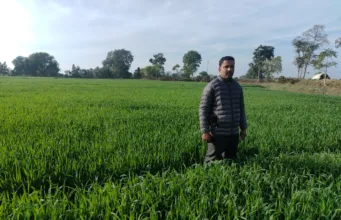 मिट्टी में जड़ें, विज्ञान से उड़ान : टीकमगढ़ के एक किसान ने बिना जुताई के उगाया सोना…