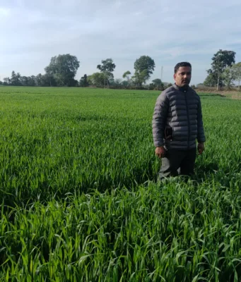 मिट्टी में जड़ें, विज्ञान से उड़ान : टीकमगढ़ के एक किसान ने बिना जुताई के उगाया सोना…
