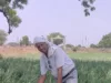 बुंदेलखंड की जलती धरती पर उम्मीद की फसल उगाने वाला किसान..