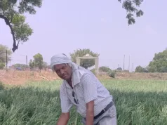 बुंदेलखंड की जलती धरती पर उम्मीद की फसल उगाने वाला किसान..