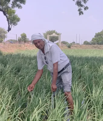 बुंदेलखंड की जलती धरती पर उम्मीद की फसल उगाने वाला किसान..