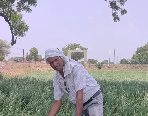 बुंदेलखंड की जलती धरती पर उम्मीद की फसल उगाने वाला किसान..