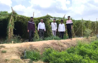 आधुनिक उद्यानिकी और ड्रिप सिंचाई से बदली युवा किसान संदीप पवार की तस्वीर, 13.25 लाख का शुद्ध मुनाफा