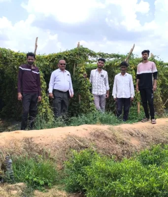 आधुनिक उद्यानिकी और ड्रिप सिंचाई से बदली युवा किसान संदीप पवार की तस्वीर, 13.25 लाख का शुद्ध मुनाफा
