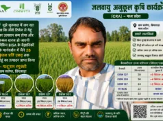 छिंदवाड़ा के यदुराम ने बिना जुताई पैदा किया 28 क्विंटल प्रीति एकड़ गेहूं