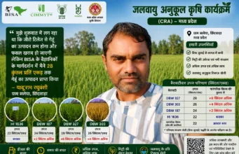छिंदवाड़ा के यदुराम ने बिना जुताई पैदा किया 28 क्विंटल प्रीति एकड़ गेहूं