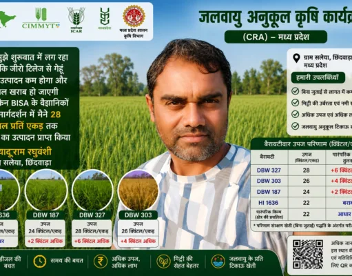 छिंदवाड़ा के यदुराम ने बिना जुताई पैदा किया 28 क्विंटल प्रीति एकड़ गेहूं