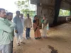 कांग्रेस पार्षद दल ने पाठाढ़ाना की गोशाला पहुंचकर व्यवस्थाओं का लिया जायजा