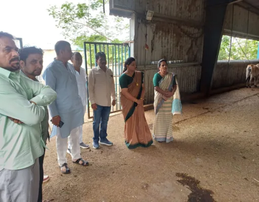 कांग्रेस पार्षद दल ने पाठाढ़ाना की गोशाला पहुंचकर व्यवस्थाओं का लिया जायजा