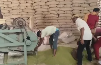 समर्थन मूल्य पर खरीदी से पहले फिर सक्रिय हुआ मूंग गिरदावरी सिंडिकेट! तामिया-चौरई में सबसे अधिक रकबे ने खड़े किए सवाल ?